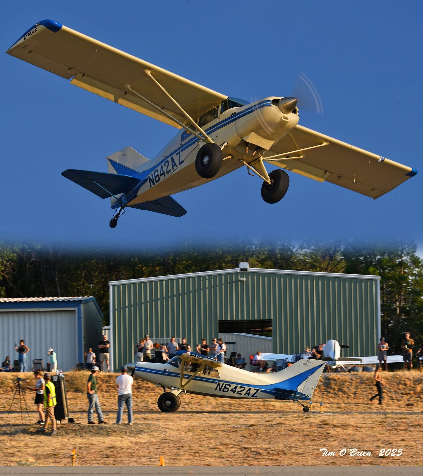 Jake Hanson gallery photo 3