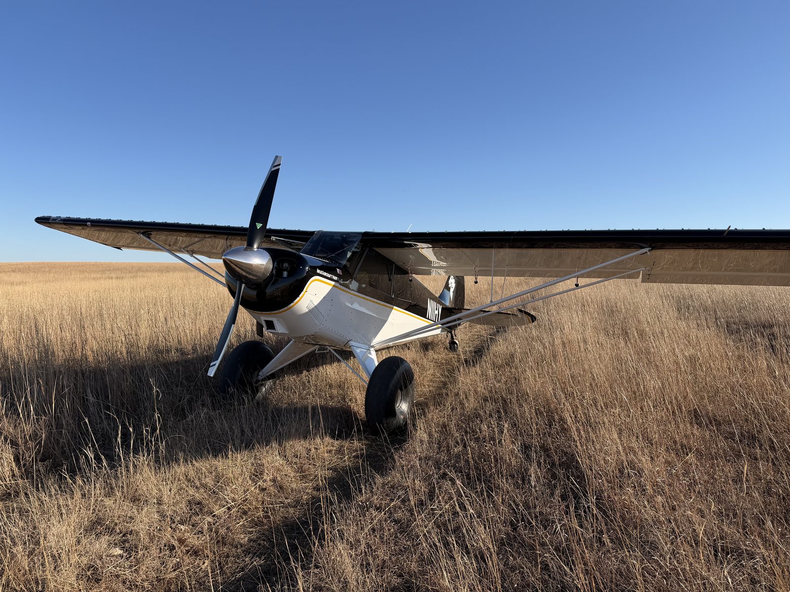 Brad Crawford gallery photo 2