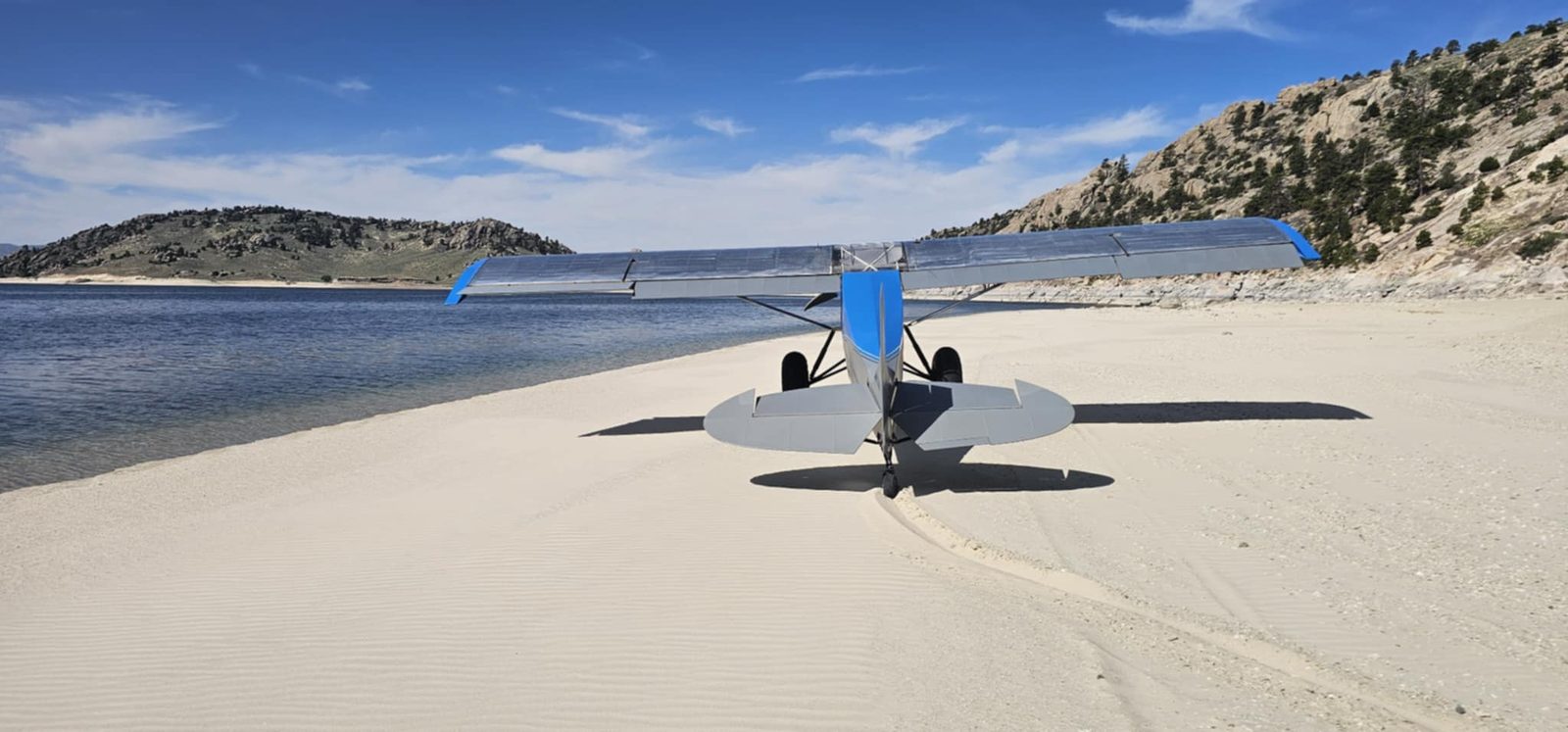 Jody Card gallery photo 2